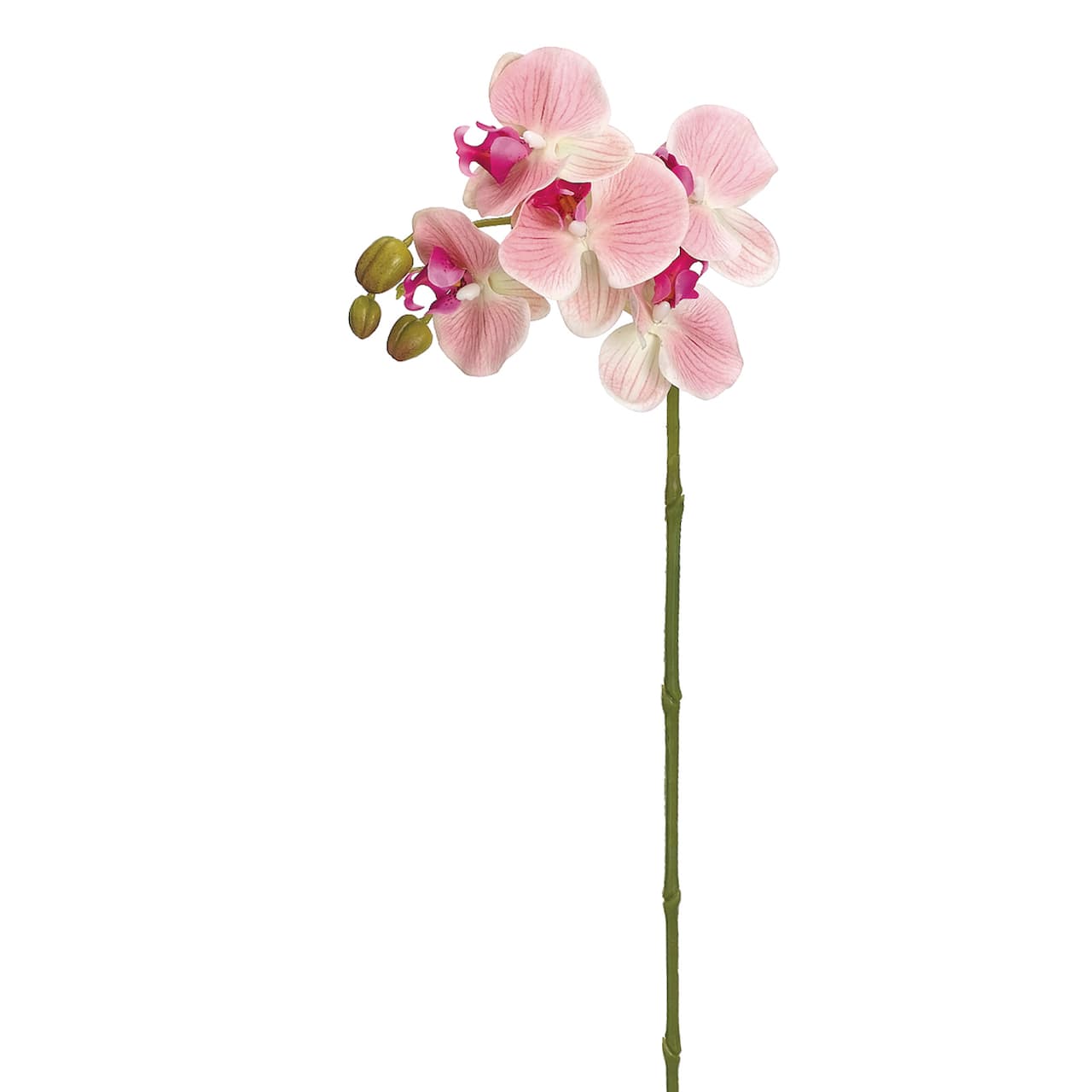 Real Touch Pink Phalaenopsis Orchid Stem 